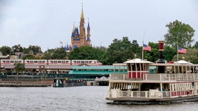 Florida man sues Disney after ferry boat crashes into dock, sends him into trash can: lawsuit