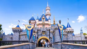 Disneyland replaces lamp posts after heavy light fixture toppled onto guests: report