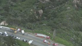 Woman killed in Malibu crash after car plummets off cliff near PCH