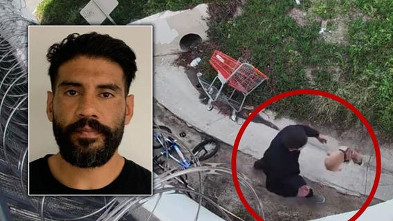 Man seen punting puppy in Anaheim arrested, dog still missing