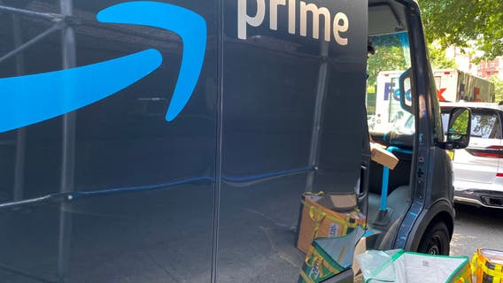 Utah cat accidentally shipped in an Amazon return box, found 650 miles from home by warehouse worker