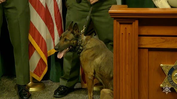 LASD honors K9 for his bravery after being shot by violent suspect in Compton