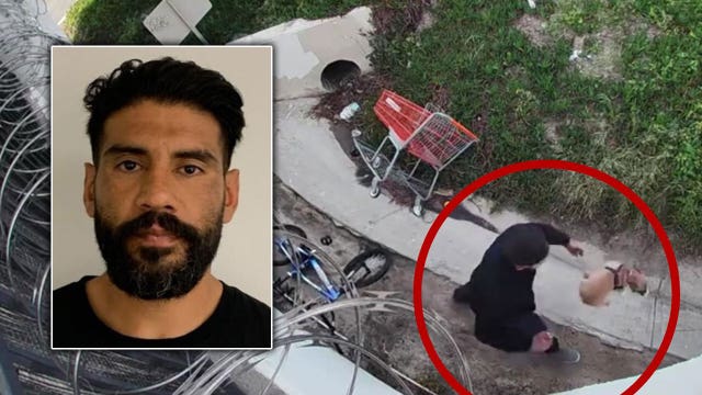 Man seen punting puppy in Anaheim arrested, dog still missing