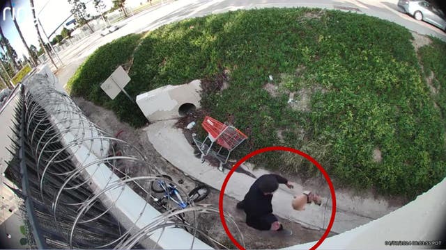Anaheim animal abuse suspect seen dropkicking puppy on surveillance footage