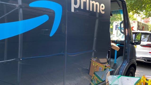 Utah cat accidentally shipped in an Amazon return box, found 650 miles from home by warehouse worker