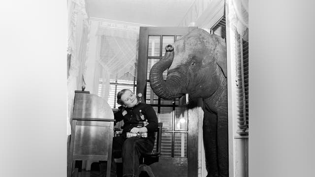 Why do we say 'spill the beans' and other expressions? Exploring the origins