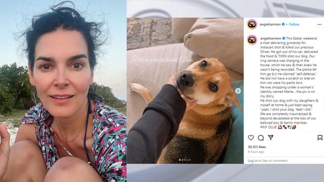 Angie Harmon accuses Instacart delivery driver of shooting and killing her dog