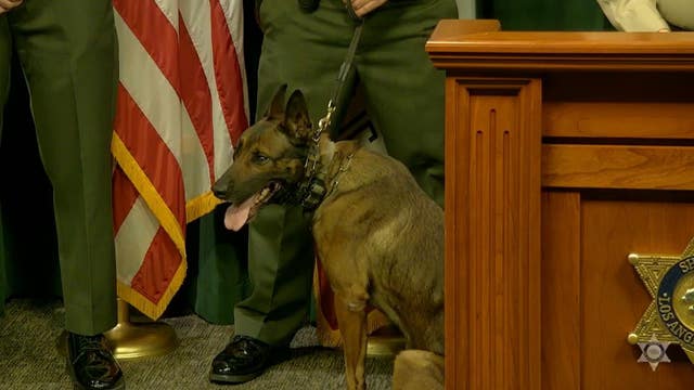 LASD honors K9 for his bravery after being shot by violent suspect in Compton