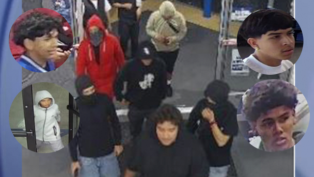 LAPD seeks help in ID'ing 10, 20 suspects in series of flash robberies
