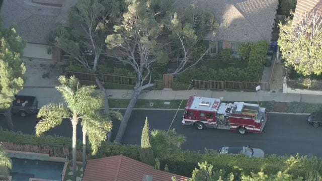 1 hurt after tree falls onto home in Westwood