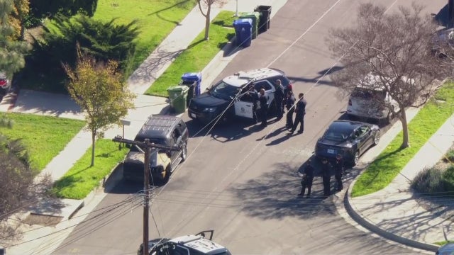 Vandalism suspect barricades inside Northridge home