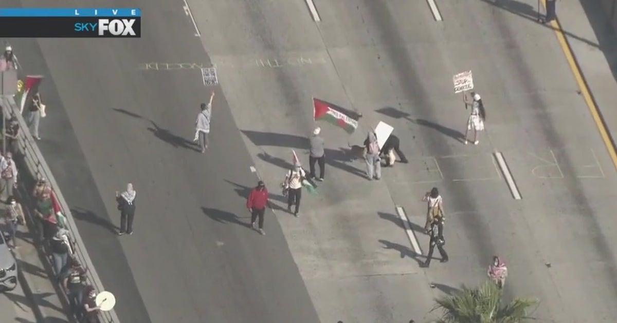 Protesters Block 101 Pro-Palestine protesters briefly block LA traffic on 101 Freeway | FOX ...