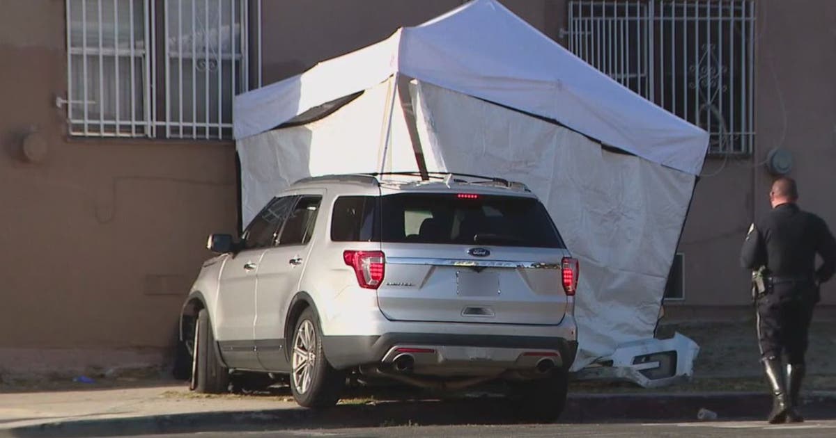 Mom of 2 hit by SUV in South LA; Her husband rushes to scene and finds ...