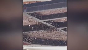Bees swarm part of Westfield Century City mall