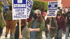 UCLA workers strike over handling of pro-Palestinian protests