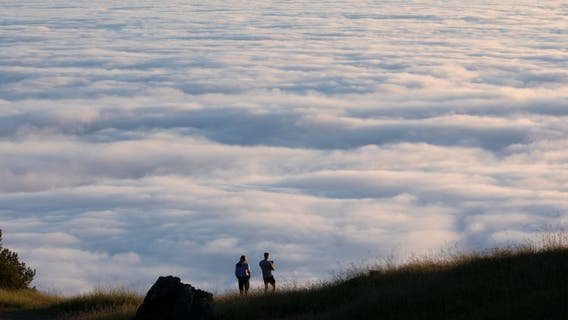When will May gray go away and let the sun come out to play?