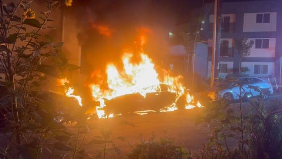 Multiple vehicles torched in LA neighborhood
