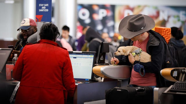 Bringing a dog into the US? Here are the new CDC rules