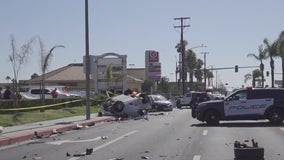 Tesla driver says car 'malfunctioned' before crash in Orange County