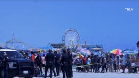 Santa Monica beach brawl: Police ask public for help as new details revealed