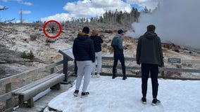 Yellowstone tourist sentenced to 7 days in jail over 'dangerous' caught-on-camera incident