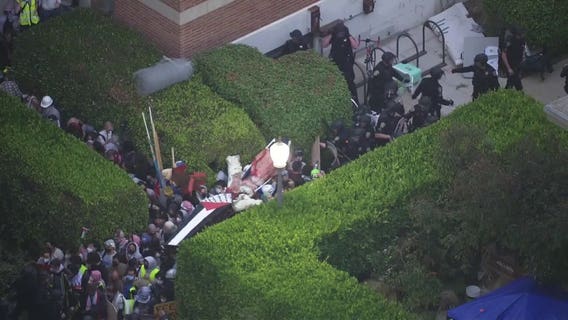 UCLA Rabbi has phone snatched while livestreaming during clash with protestors