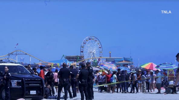 5 arrested after stabbing during large fight near Santa Monica Pier