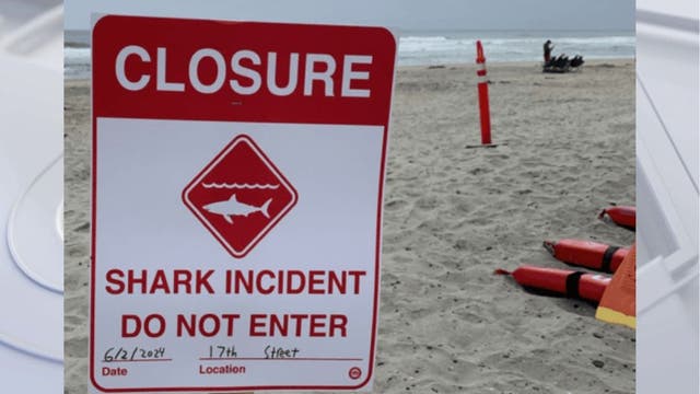 Shark attacks swimmer in Del Mar