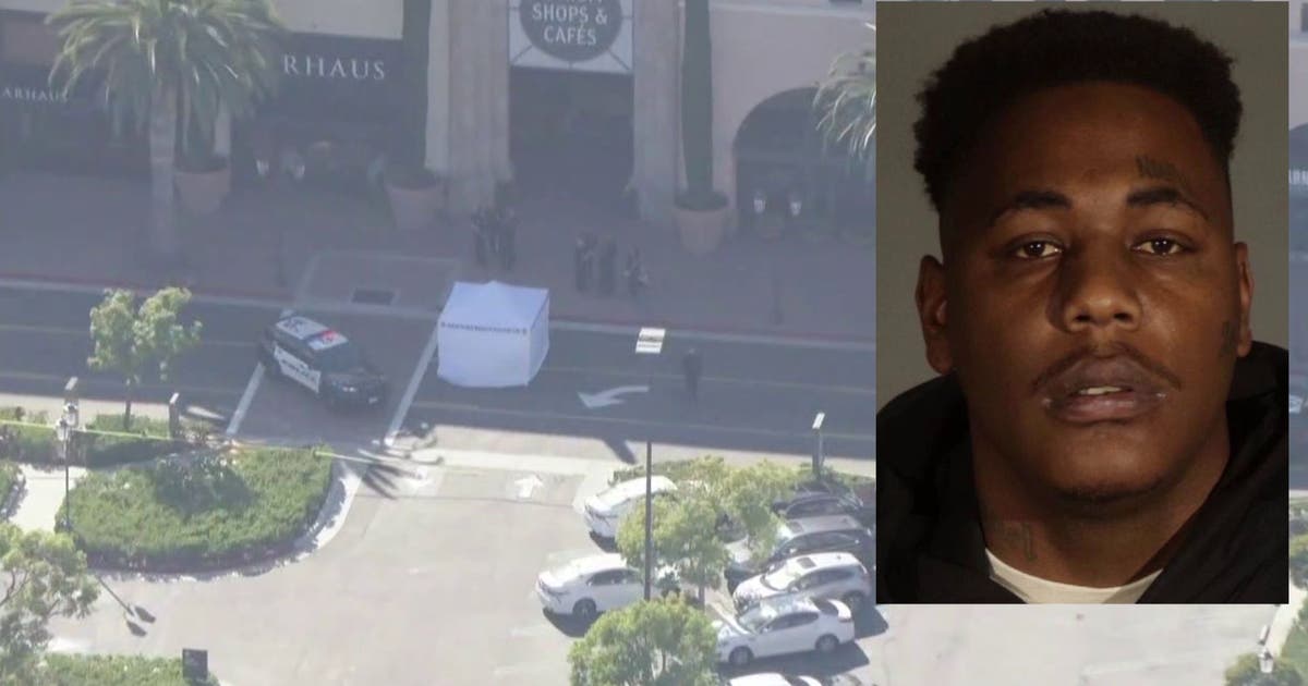 Fashion Island Newport Beach murder suspect was out on probation for ...