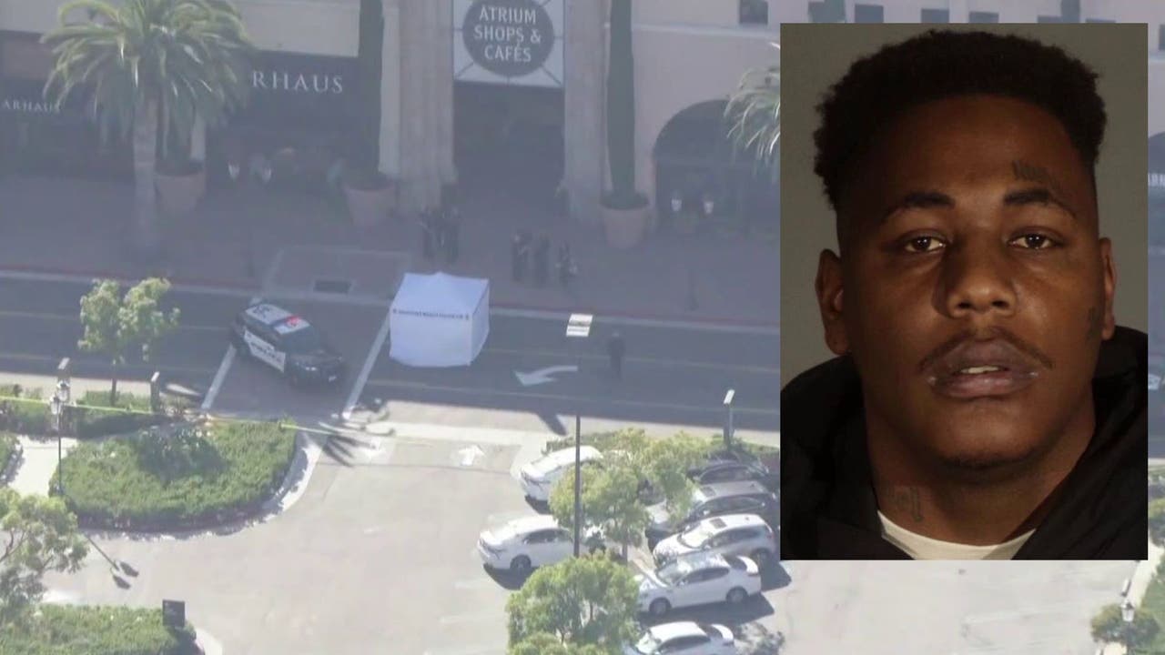 Fashion Island Newport Beach murder suspect was out on probation for 2022 Santa Monica incident