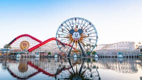 Disneyland rollercoaster riders rescued after attraction malfunctions
