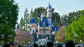 Disneyland new limits on disability access has parkgoers upset, calling for change