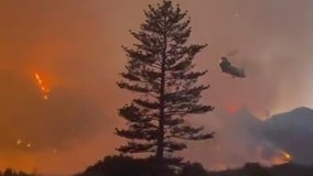 California's 2024 wildfire season is officially deadly