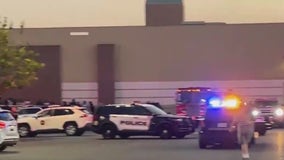 SouthBay Pavilion Mall in Carson closes after dozens of kids allegedly set off fireworks inside