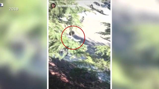 Man charged with stealing deputy's gun, shooting at her with it