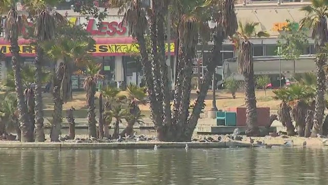 City launches plan to reconnect MacArthur Park