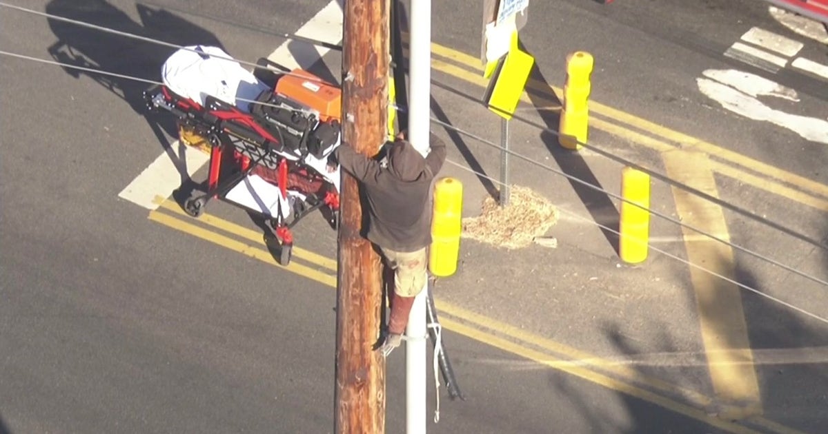 Man surrenders after refusing to come down Los Angeles power pole | FOX ...