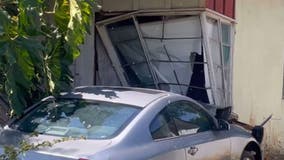 Hive of bees attack driver after car plows into home