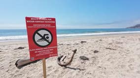 Closure at Will Rogers State Beach lifted following sewage spill