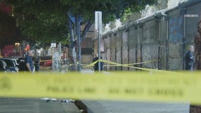 Homicide suspect armed with a machete brutally attacks man in DTLA