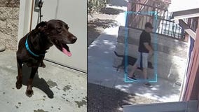 Police in SoCal ask for public's help identifying man who abandoned sick dog