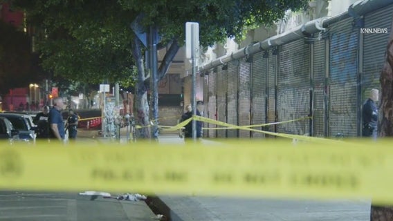 Homicide suspect armed with a machete brutally attacks man in DTLA