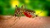 LA County reports 1st case of dengue not related to travel