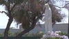 Family members beg for help as abandoned Carson cemetery now target of thieves