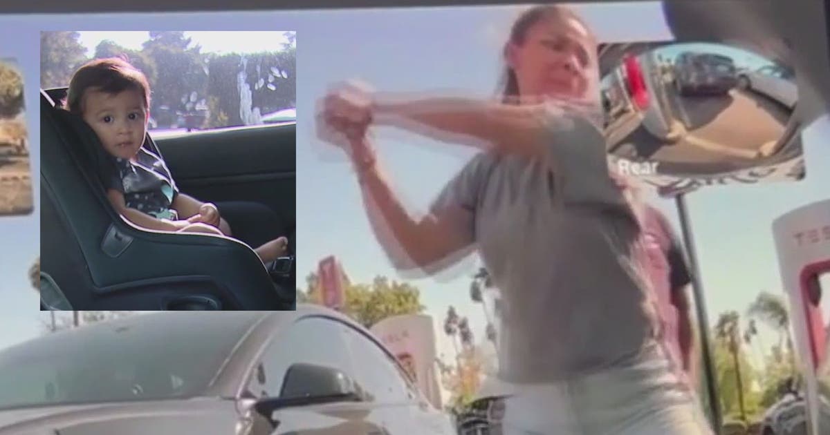 Mom, good Samaritan smash Tesla window trying to rescue toddler son ...