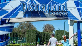 California mom arrested at Disneyland in front of her crying children