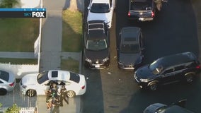 Murder suspect taken into custody in South LA