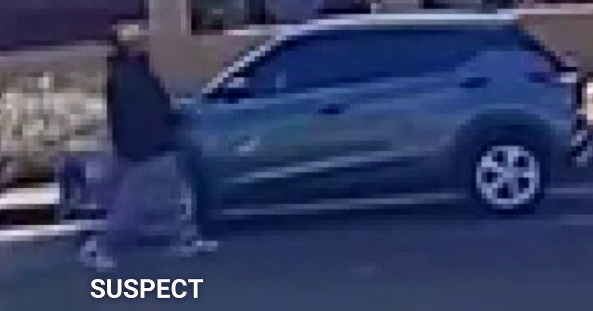 Teen stops kidnapping attempt in Los Angeles; Suspect arrested | FOX 11 ...