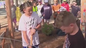 Orange County school plants a ‘Moon Tree’ grown with seeds flown in space