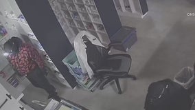 Burglars hit North Hollywood pharmacy